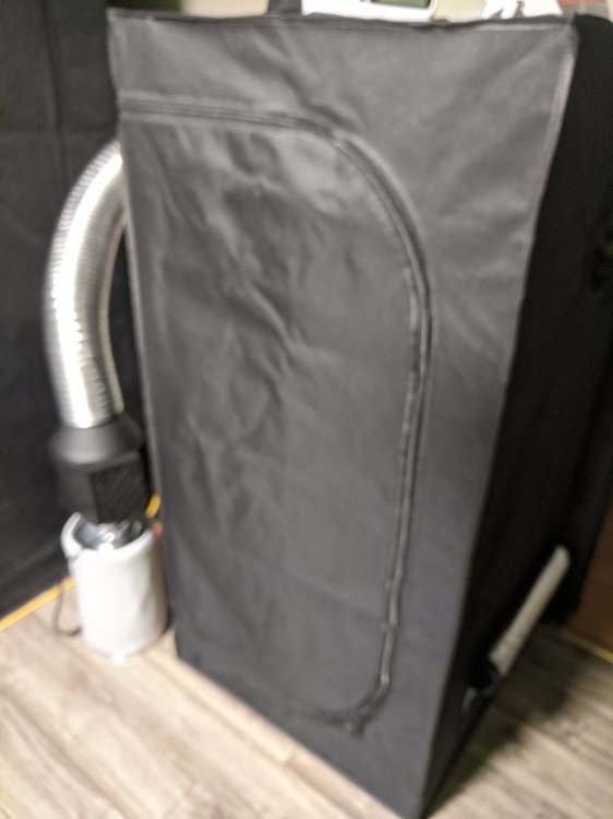 IMG_20210618_114325.jpg