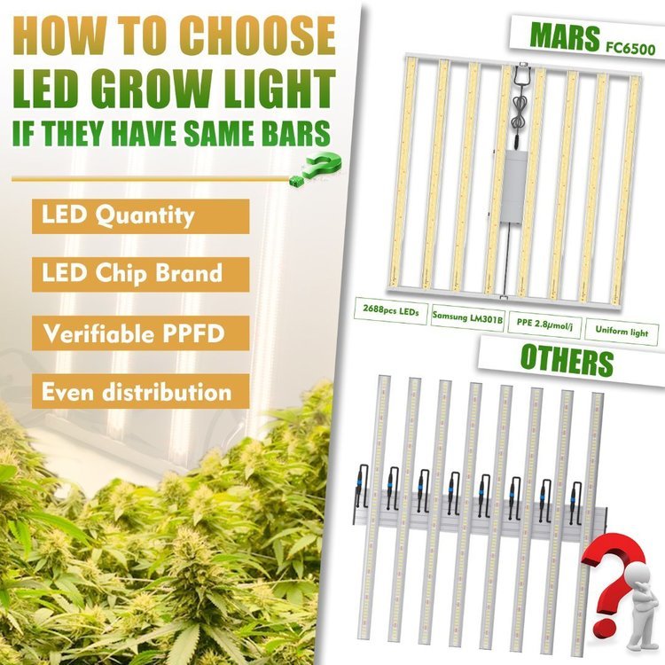 how-to-choose-the-led-grow-light-FC.jpg