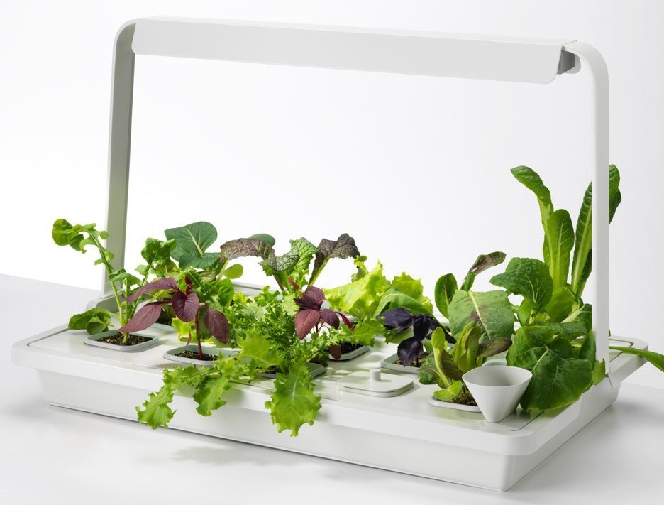 hydroponic-gardening-krydda-vaxer-series-kit-ikea-sustainable-homeware-design-interior-indoor_dezeen_936_26.jpeg.1723c45b1858018f57949bf59a11fd4d.jpeg