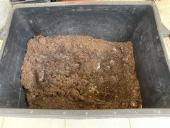 Mélange de terreau avec mycélium