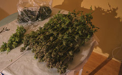 CL 8week 7.jpg