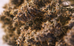 CL Dry Fleur.jpg