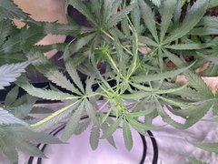 606FE795-CCB8-40E5-A14C-89A436CA8C14.jpeg