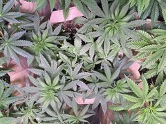 6183D30E-81D0-4488-96E5-E5FE50D9862E.jpeg