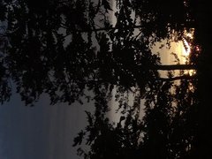 IMG_20210605_184736.jpg