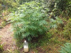 IMG_20210620_103115.jpg