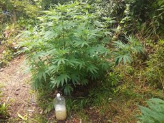 IMG_20210620_103122.jpg