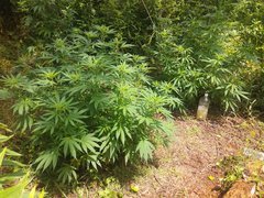 IMG_20210620_103311.jpg