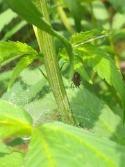 IMG_20210620_103442.jpg