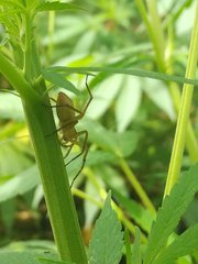 IMG_20210620_103535.jpg
