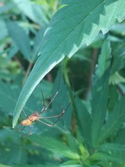 IMG_20210620_103841.jpg