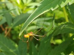 IMG_20210620_104003.jpg