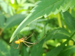 IMG_20210620_104010.jpg