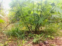 IMG_20210622_221757.jpg