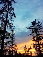 IMG_20210627_200524.jpg