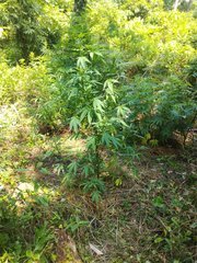 IMG_20210630_134524.jpg