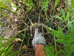 IMG_20210630_152039.jpg