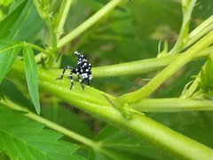 IMG_20210630_152211.jpg