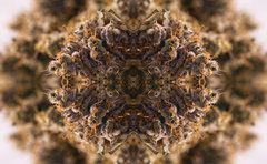 Mandala.jpg