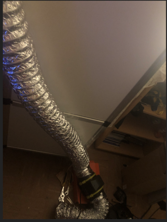 243767637_Capturedcran2021-07-26025345.thumb.png.b7c6ee324fab5a5b730ba05e1b220ecd.png
