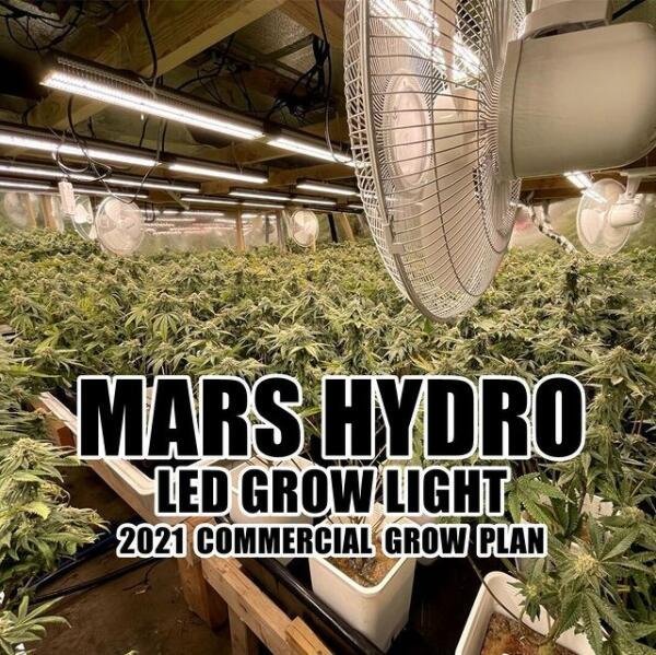 SP 3000 led grow light 1.jpg