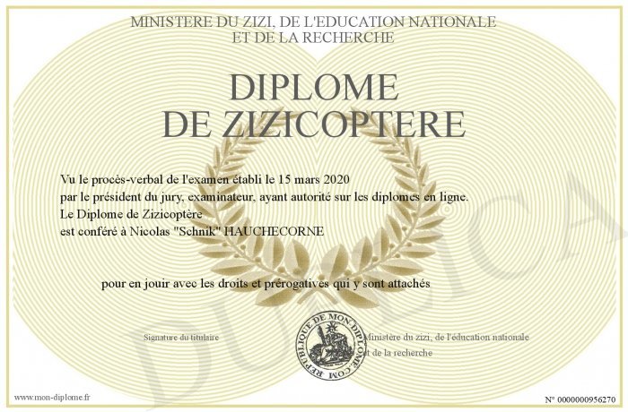 682887299_700-956270-DiplomedeZizicoptere.jpg.c208b02472df9f0099866e3090d984e3.jpg