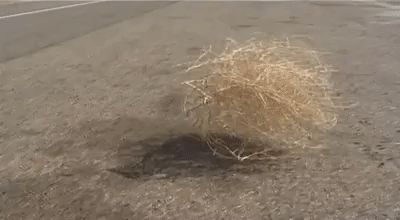 Tmn9mL.gif.ddb321003dedbf307355329121da7296.gif
