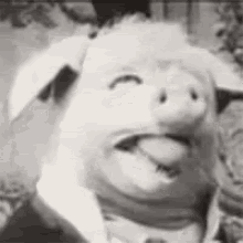 iroiro07-pig.gif.d6bcbc77c0c61a3e2a6502957955eb78.gif
