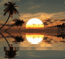nature-scenery.gif.c6494bddde62985061a1a43ec367e4fe.gif