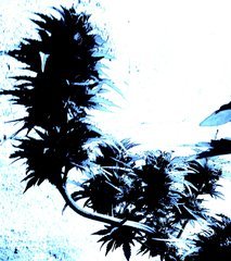 20210703_152511.jpg