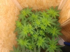 20210718_125144.jpg
