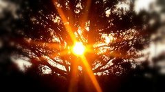 IMG_20210713_192759.jpg