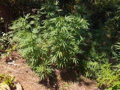 IMG_20210717_103915.jpg