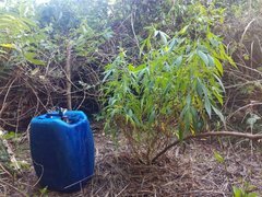 IMG_20210723_173047.jpg