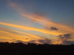 IMG_20210726_191246_1.jpg
