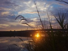 IMG_20210727_184457_1.jpg