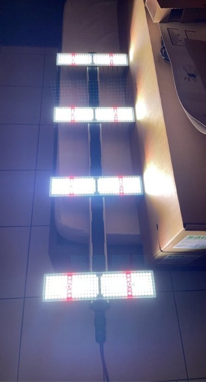 0C38EA40-C894-4A5F-BB7F-2660C569D515.jpeg