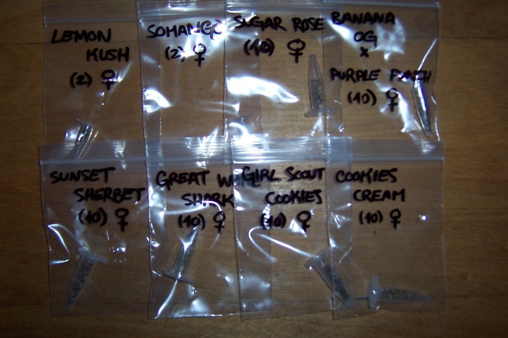 100_2560.JPG