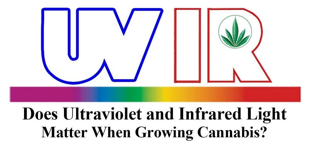 UV and IR light.jpg