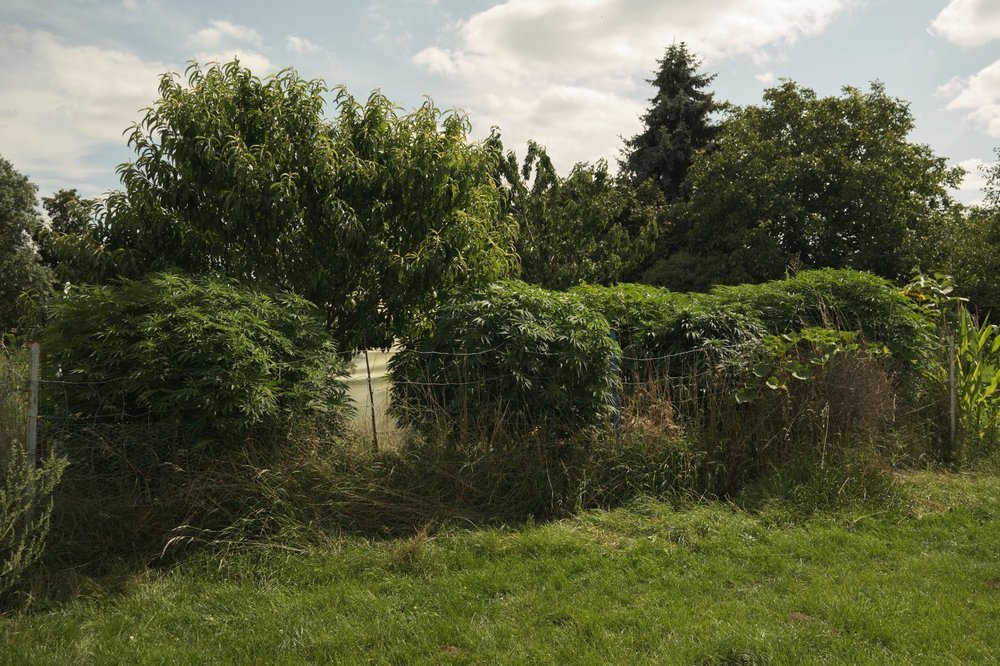 DSCF2574 1 - Copie.jpg