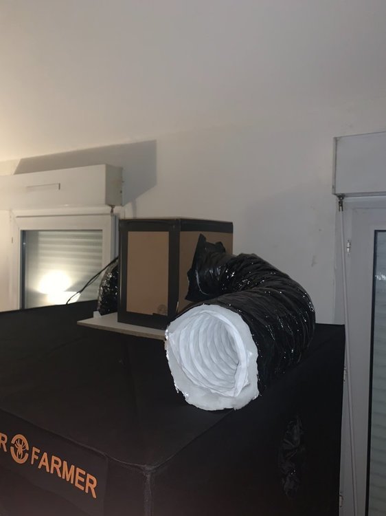 C40577B3-E1C7-4526-8F7E-9F00C47BF7CF.jpeg
