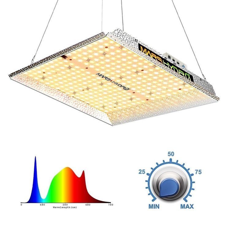 mars_hydro_ts_1000_led_grow_light.thumb.jpg.062f8caa54558d3a836a4c6123b8fee6.jpg