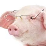 PinkOPig
