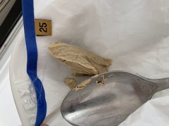 386D337D-0622-4562-BBAE-38F8369393AF.jpeg