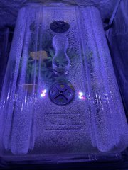 3F486C2A-AD64-457B-BC92-BBB23AC70B51.jpeg