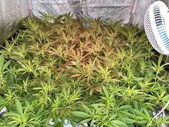 42428D92-05DE-43E1-8813-C2D465C0D00F.jpeg