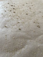 A6619FD9-E1B6-46D7-9FA0-5E8244B30A97.jpeg