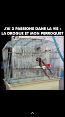 BB0EFD33-4A24-4073-93EB-275FE87661C6.png