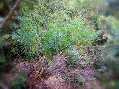 IMG_20210802_233607.jpg
