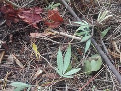 IMG_20210811_153332.jpg